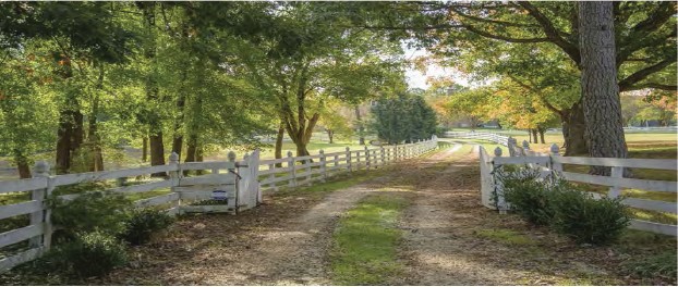 The Estates at Chestatee